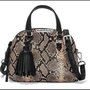 Brighton “Ronan” Python Mini Bag